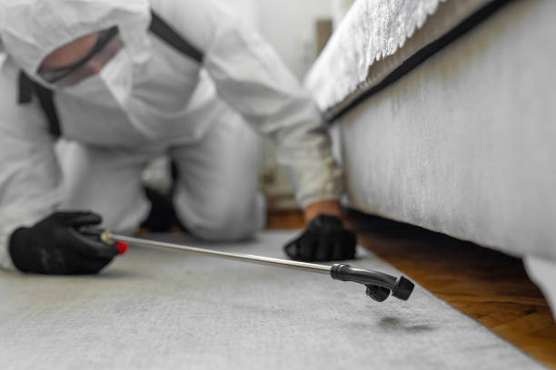 Professional Bed Bug Control technician working in Cambridge, OH