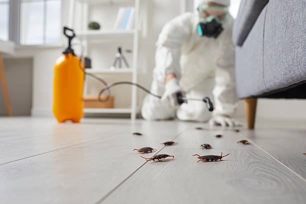 Trusted Rodent Control service in Cambridge, OH - Nex Pest Control