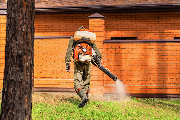 Trusted Bed Bug Control service in Cambridge, OH - Nex Pest Control
